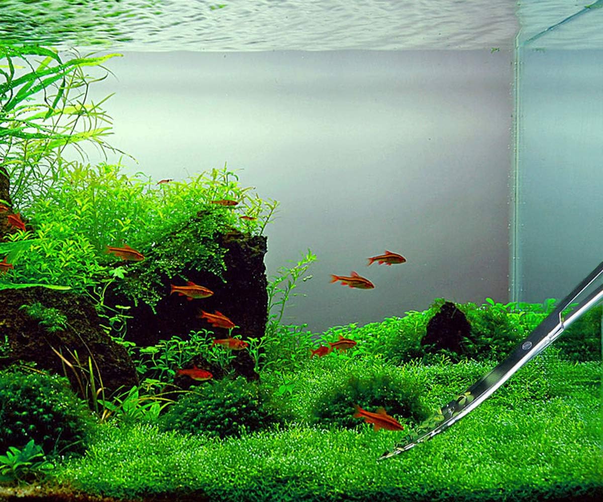 Hexint 3 in 1 Aquarium Aquascaping Kit Stainless Steel Aquarium Fish Tank Aquatic Plant Tools Tweezers Scissors Spatula Set - Image 4