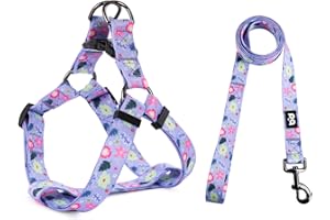 QQPETS Dog Harness Leash Set Adjustable Heavy Duty No Pull Halter Harnesses for Small Medium Large Breed Dogs Back Clip Anti-Twist Perfect for Walking