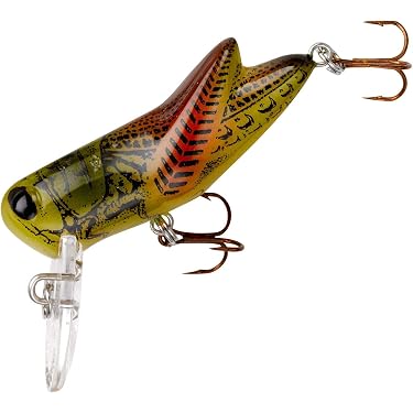Amazon Best Sellers: Best Fishing Topwater Lures
