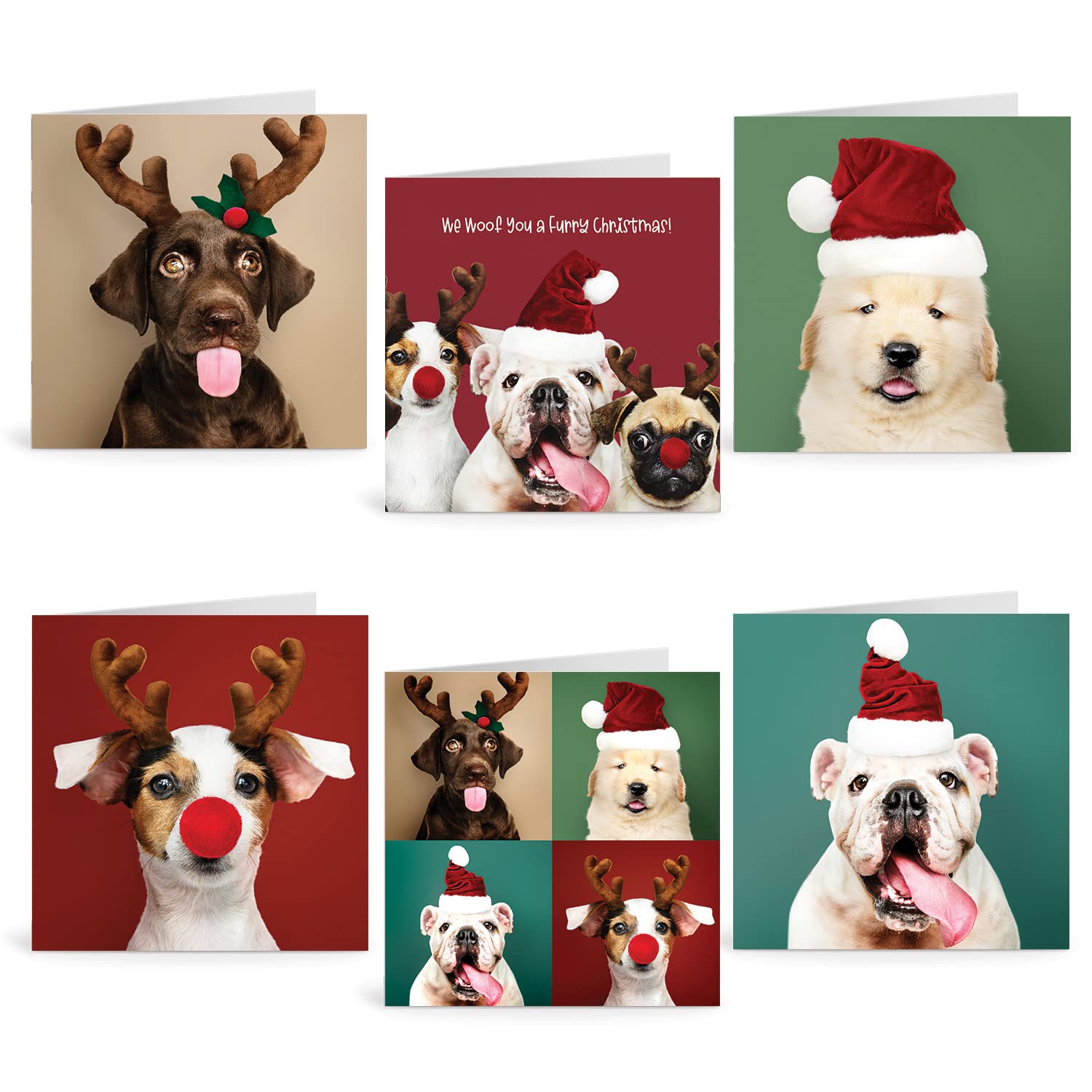 Ruby Ashley Charity Christmas Cards - Pack of 30 Xmas Cards. Quality Funny & Cute Dog Multipack Made in the UK. Recyclable & Boxed