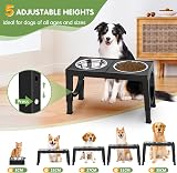 Aystkniet Raised Dog Bowls 5 Height Adjustable Stainless Steel Dual Bowls view 2