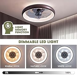 LUDOMIDE Ceiling Fan with Lights and