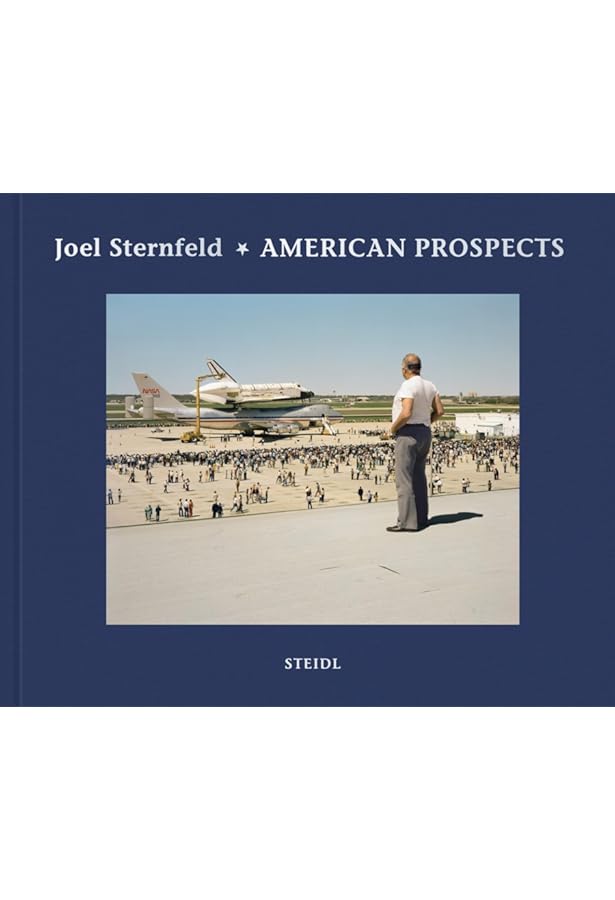 American Prospects: Sternfeld, Joel: 9780812916591: Amazon.com: Books