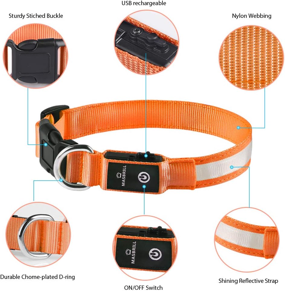 MASBRILL Light Up Dog Collar - Image 5