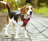 PoyPet No Pull Dog Harness Reflective Front Chest Clip 4 Adjustable Straps Red L view 2