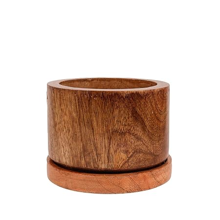 Lasaki William Wooden Pots with Wooden Plate Succulent Cactus Planter for Home, Indoor, Outdoor, Diwali Decoration Plant Container Set (Color: Beach, Plate: Wooden) wp6