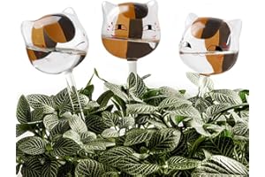 KiKiHeim Self Watering Globes Plant Waterer, Hand Blown Clear Glass Self Watering Planter Insert Water Bulbs for Indoor Outdo