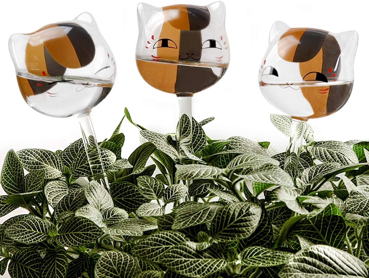 KiKiHome New Plant Waterer Self Watering Globes, Hand Blown Clear Glass Plant Water Bulbs for Indoor & Outdoor (3 Cats)
