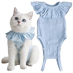 Cat Recovery Suit for Abdominal Wounds and Skin