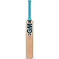 General Motors GM Neon Premier Kashmir Willow Cricket Bat, Short Handle