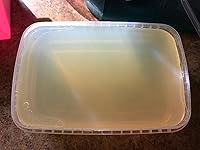 Review Image by Arlene M. Singh Arlene M. Singh