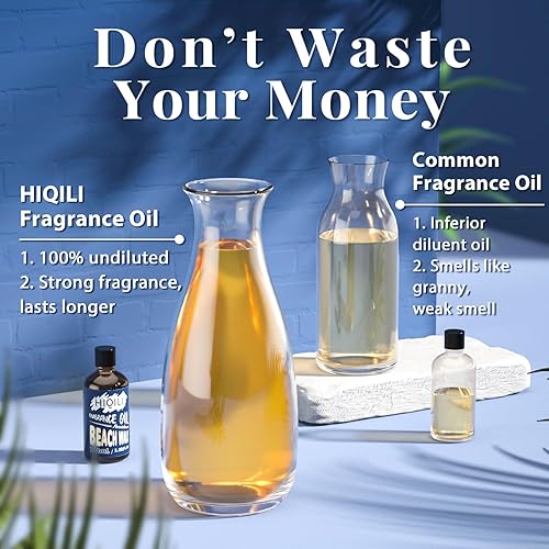 HIQILI Beach Walk Fragrance Oil 100ml for Diffuser Car Freshies
