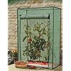 Tomato Growbag Growhouse with Heavy Duty Reinforced Cover