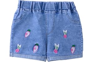 Baby Girls Carrot Strawberry Jean Shorts Toddler Cute Embroidery Baggy Denim Shorts Elastic Waist Summer Casual Jorts