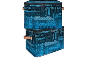 RIRIX Custom Storage Bins with Zipper Lids - Personalized Storage Box Foldable Organizer Basket Keepsake Box with PU Leather 