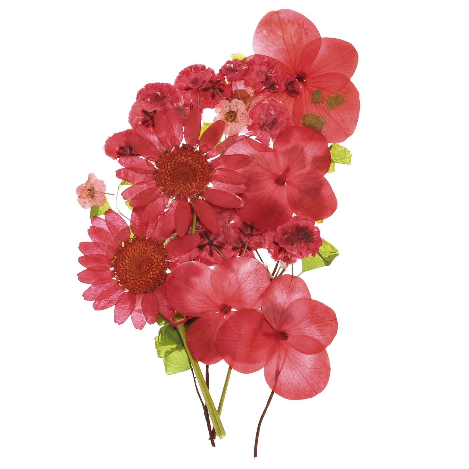 PATIKIL Dried Pressed Flowers, Real Dry Leaves Flowers for Scrapbook Supplies Card Making Resin Jewelry Making Soap Candle DIY Crafts, Multicolor