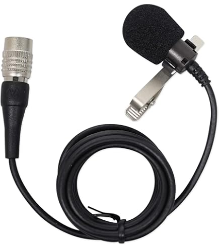 Amazon.com: Audio Technica ATW-1701/L - Sistema inalámbrico para