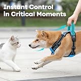 PoyPet No Pull Dog Harness Reflective Vest with 2 Leash Attachments (Blue, L) view 6