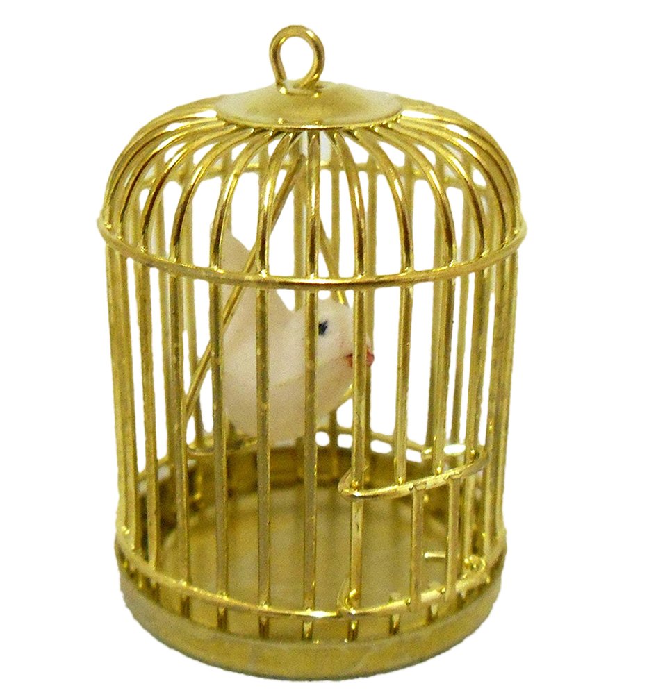 Best the tea kettle cage