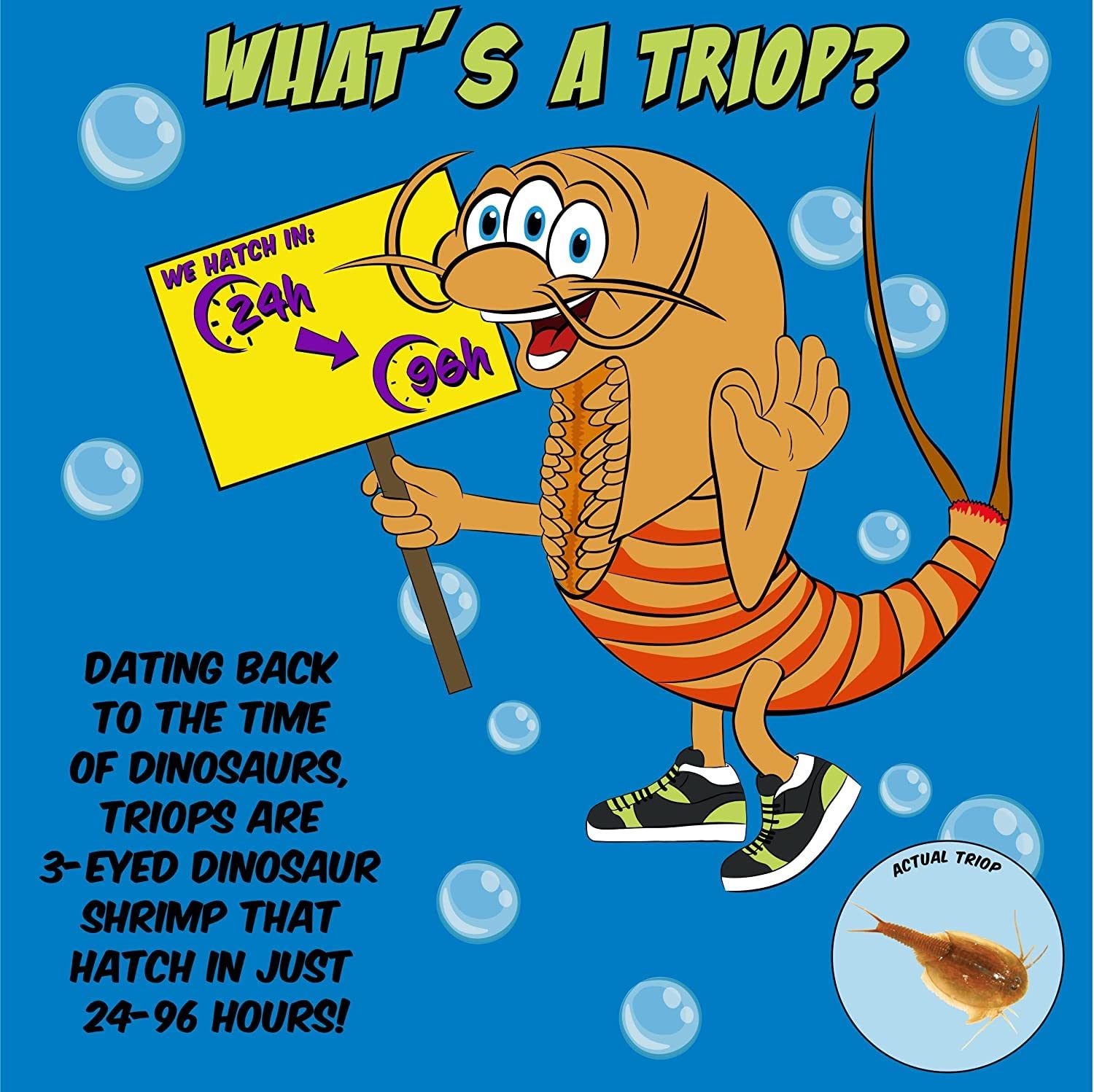 Triops Kit, Contains Eggs, Aquarium, Food, Instructions and Helpful Hints to Hatch and Grow Your Own Prehistoric Creatures, Fun Educational Toy for Kids