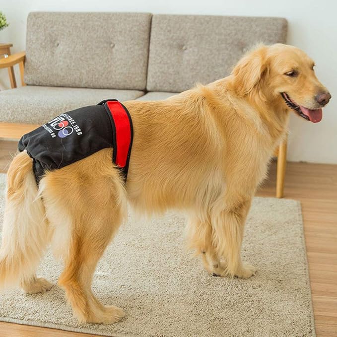 XXDYF Hundewindeln für hündinnen Weiblich Hund Windeln Hund