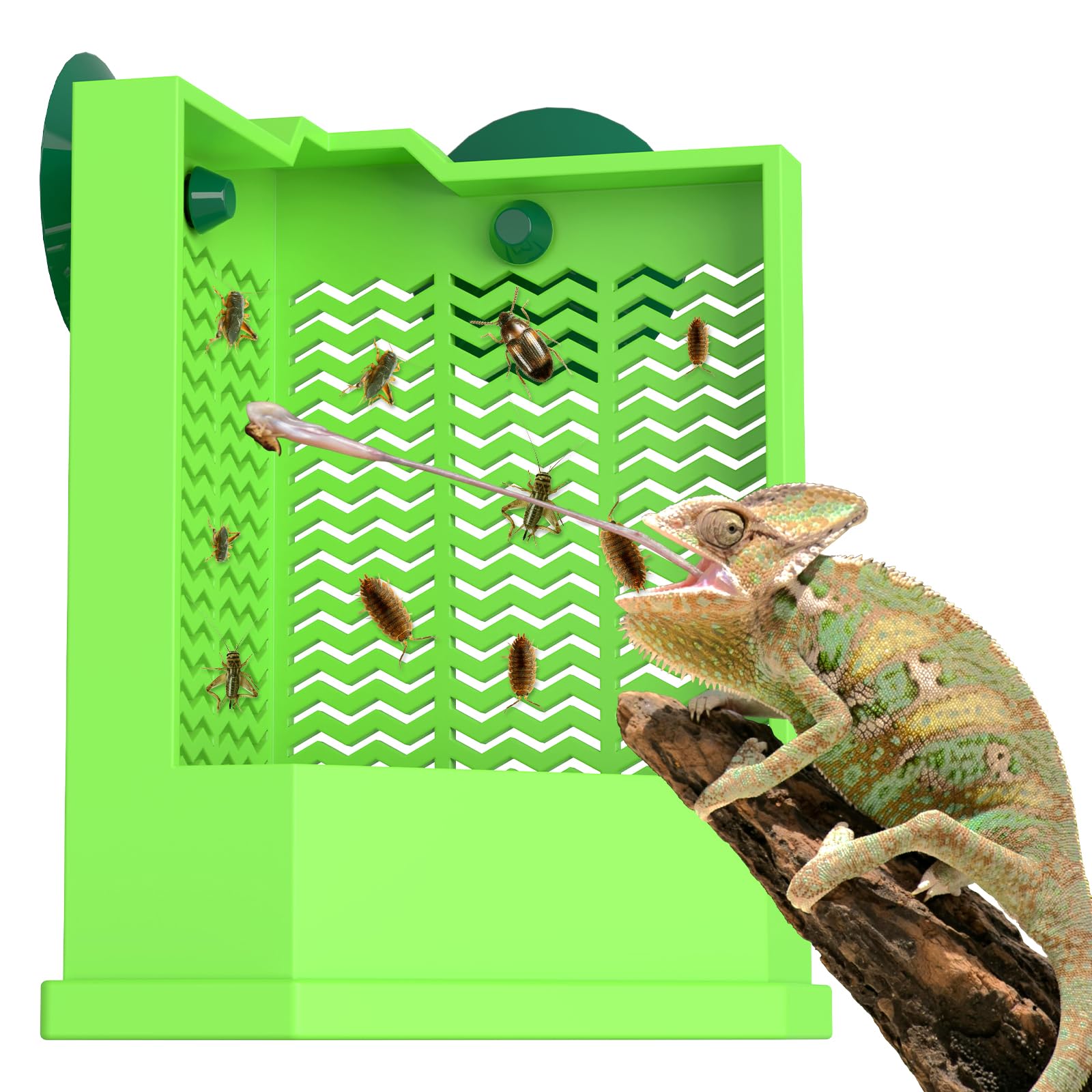 Photo 1 of Pawfly Bearded Dragon Feeder - Escape-Proof Corner Reptile Food Box, Wall-Mounted with Suction Cups for Insects - Bug Bowl for Lizards, Geckos, Chameleons & Frogs