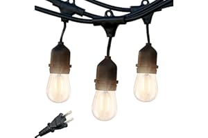 Brightech Ambience Pro - Waterproof LED Outdoor String Lights - Hanging, Dimmable 2W Vintage Edison Bulbs - 48 Ft Commercial Grade Patio Lights Create Cafe Ambience In Your Backyard