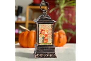 ARMXY Fall Snow Globes, Scarecrow Couple with Pumpkin Scene Snow Globes, Glittering Lantern with Timer, Snow Globe Lantern USB or Battery Powered for Fall Festival Thanksgiving Day Decor