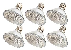Pack Of 6 60PAR30/FL 120V 60 Watt High Output (75W Replacement) 60W PAR30 Flood 40 Degree Beam Spread 120 Volt Halogen Par 30 Light Bulbs