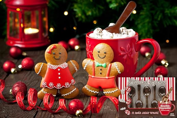 FRUIDLES CHOCOLATE PEPPERMINT FLAVORED STIRRING SPOONS, CANDY HOT STIRRING EDIBLE SPOONS, GOURMET MILK COCOA EDIBLE SPOON STIRRERS, 3 OZ (5 SPOONS PER BOX) (12-PACK)