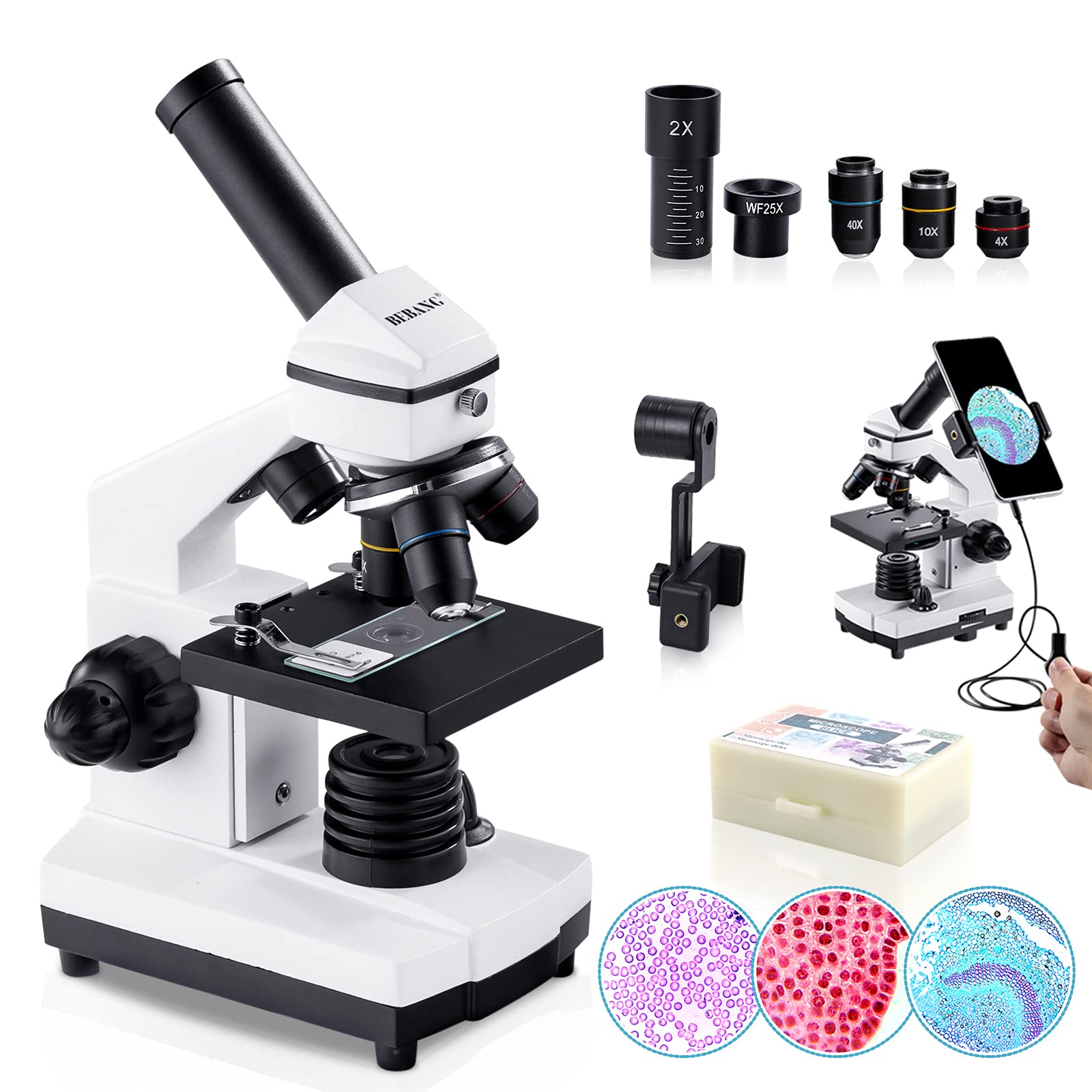 BEBANG 100X-2000X Microscope for Kids Adults, Professional Biological Microscope Kit for Students School Laboratory — image 1