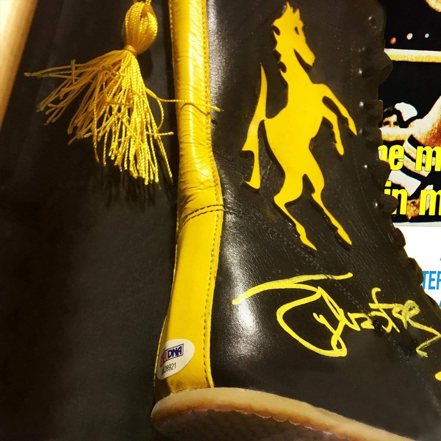 psa dna certified hand signed boxing