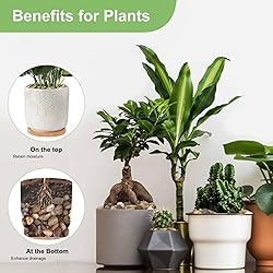 Pulovin 2.5 lbs Drainage Rocks for Potted