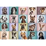 BEDUKE Jigsaw Puzzles for Adults 1000 Piece - Every Piece is Unique - Precise Interlocking Thick Sturdy Cardboard Dogs Animal