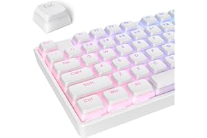 USSIXCHARE PBT Pudding Keycaps Set 117 Keys, Double Shot Translucent XDA Profile for ISO & ANSI Layout 61/68/84/87/104 Keys Mechanical Keyboard