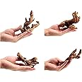 YZHZOM Small Natural Driftwood for Aquarium Styling Carefully Selected Natural Aquarium Decor Driftwood for Reptile Tank Reptile Tank Wood Decor (Driftwood 4-6inch 4pcs)