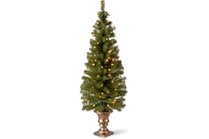 National Tree Company Pre-lit Artificial Christmas Tree For Entrances | Includes Pre-strung White Lights and Stand | Montclair Spruce - 5 ft