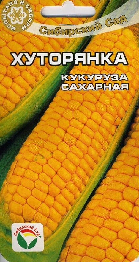 AGROBITS Hutoryanka de maíz (S Garden): Amazon.es: Jardín