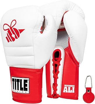 title boxing gloves amazon
