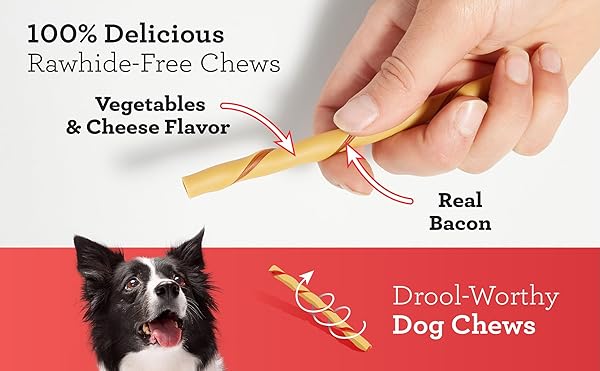 DREAMBONE TWIST STICKS, MADE WITH REAL BACON AND CHEESE FLAVOR, RAWHIDE-FREE CHEWS FOR DOGS, 50 COUNT
