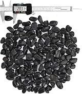 Hisredsun Black Decorative Stones 2.1 lb 0.4-1 in River Gravel view 2