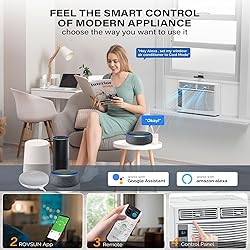 ROVSUN Smart 6000 BTU Window Air Conditioner with