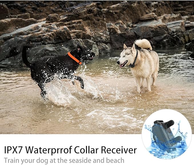 jia lan jiu yu dog training collar