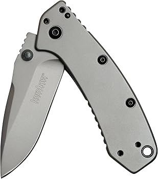 Kershaw Cryo Pocket Knife, EDC Knife with Speedsafe Assisted Opening