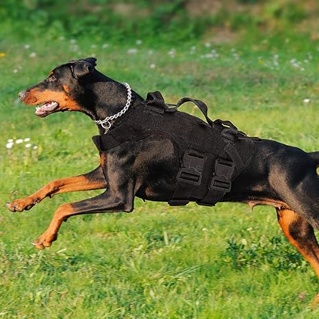 Working dog gear Outlet