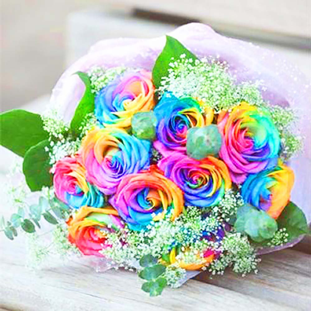 Onbio 500Pcs/Pack Colorful Rose Seeds Perennials Beautiful Flowering Rose Bonsai Plant Seeds Home Garden