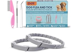 BKRMART Dog Flea Collar 2 Pack 8-Month Protection, All Natural Flea Collar for Dogs, Includes Flea Comb, Shell Comb, Tick Tweezers & Tick Removal Tool 5-in-1 Dog Flea Protection Kit