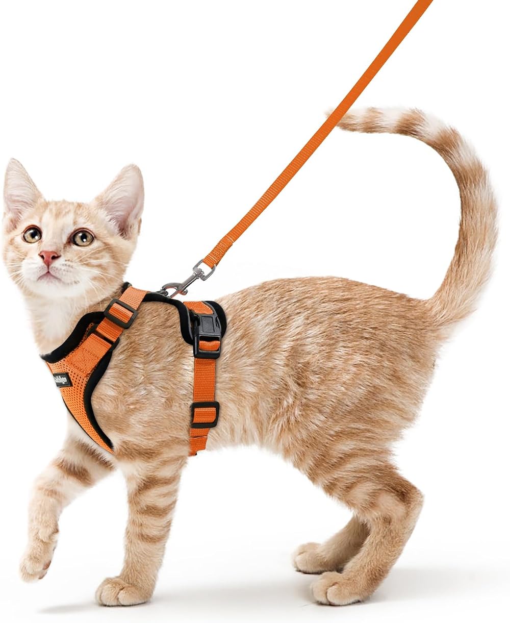 rabbitgoo Cat Harness and Lead Set XS Orange Reflective Adjustable Escape Proof
