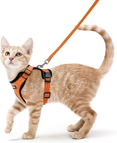 rabbitgoo Cat Harness and Lead Set XS Orange Reflective Adjustable Escape Proof
