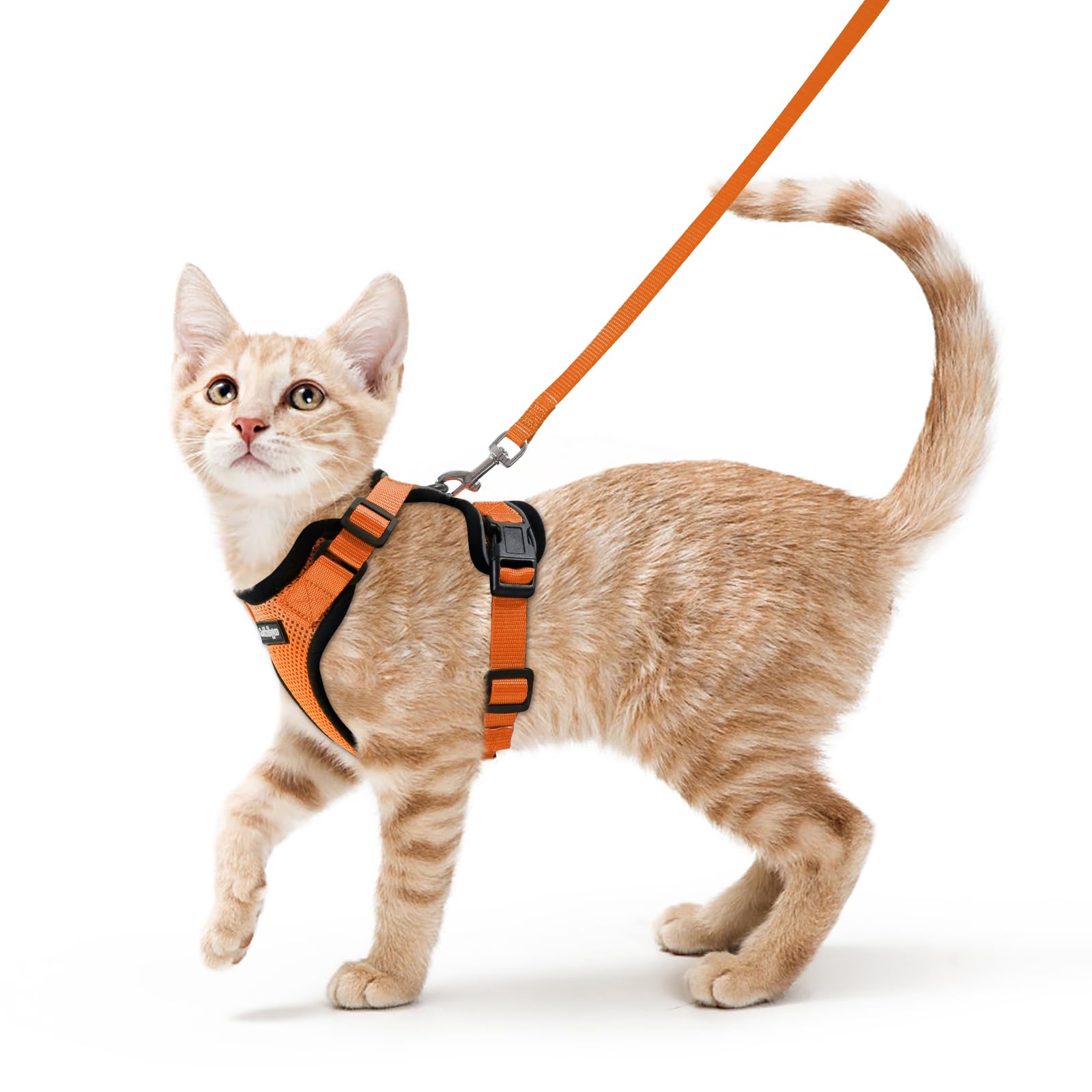 rabbitgoo Cat Harness and Lead Set, Escape Proof Kitten Harness with Leash, Metal Ring, Lightweight Soft, Reflective Adjustable Vest for Small Cat Walking Travel S (Pack of 1), Orange